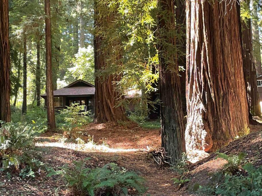 The Groves At Redway Beach - Craftsman Exterior foto